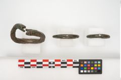 Foto von Bronzegehänge (NHMW-PRAE-024267)
